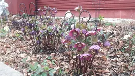 20190302_112814.webp