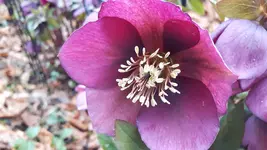 20190303_083453.webp