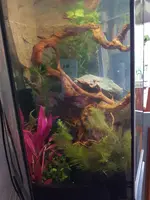 20190303_150238.webp