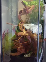 20190303_150344.webp