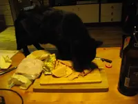 IMGP7488.webp