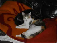 IMGP7483.webp