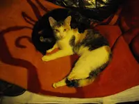 IMGP7484.webp