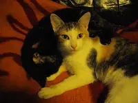 IMGP7485.webp