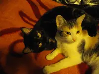 IMGP7486.webp