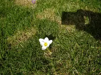 04_03_2019 (2).webp