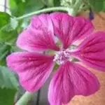 1551764406101.webp