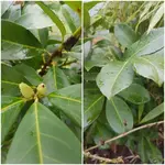 20190305_111132.webp