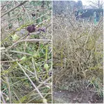 20190305_111230.webp