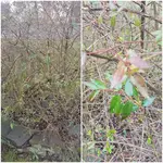 20190305_111305.webp