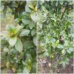 20190305_111459.webp