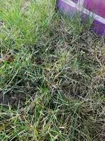 IMG-20190305-WA0000.webp