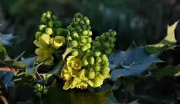 2019blmn07.webp