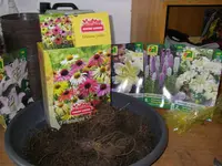 06_03_2019_Lieferung_Sonnehut (3).webp