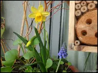 c064.webp
