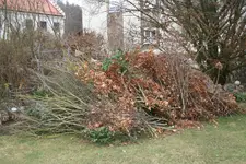 Vorher0219.JPG