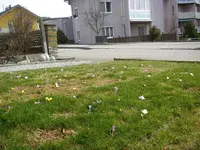 07_03_2019 (1).webp