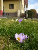 07_03_2019 (5).webp