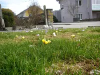 07_03_2019 (6).webp