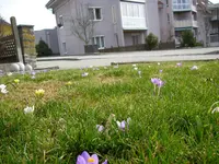 07_03_2019 (8).webp