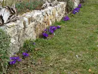 DSC00121.webp