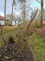 IMG_20190307_164233.webp
