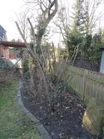 IMG_20190307_165743.webp