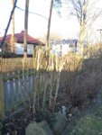 IMG_20190307_165800.jpg