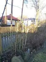 IMG_20190307_165800.webp