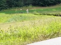 P1010613 (2).webp
