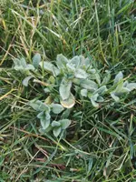 IMG_20190309_095345.webp