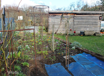 Garten im März.webp