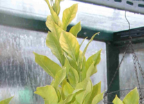 20190309_120511.webp 20190309_120511.webp