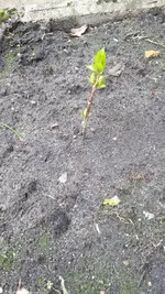 20190309_105329.webp