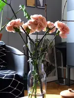 P1050356.webp