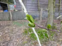 P1110992.webp