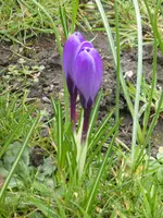P1120016.webp