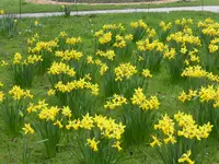P1120017.webp