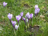 P1120019.webp