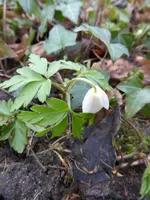 P1120029.webp