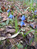 P1120030.webp