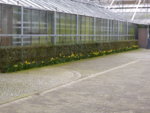 P1120031.JPG