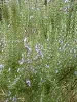 P1120036.webp