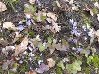 P1120041.webp