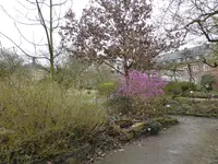 P1120061.webp