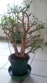 20190309_101315.jpg