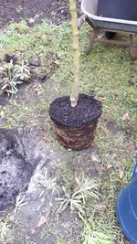 20190310_112238.webp