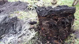 20190310_112345.webp