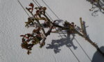 20190308_135954.jpg
