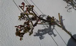 20190308_135954.webp